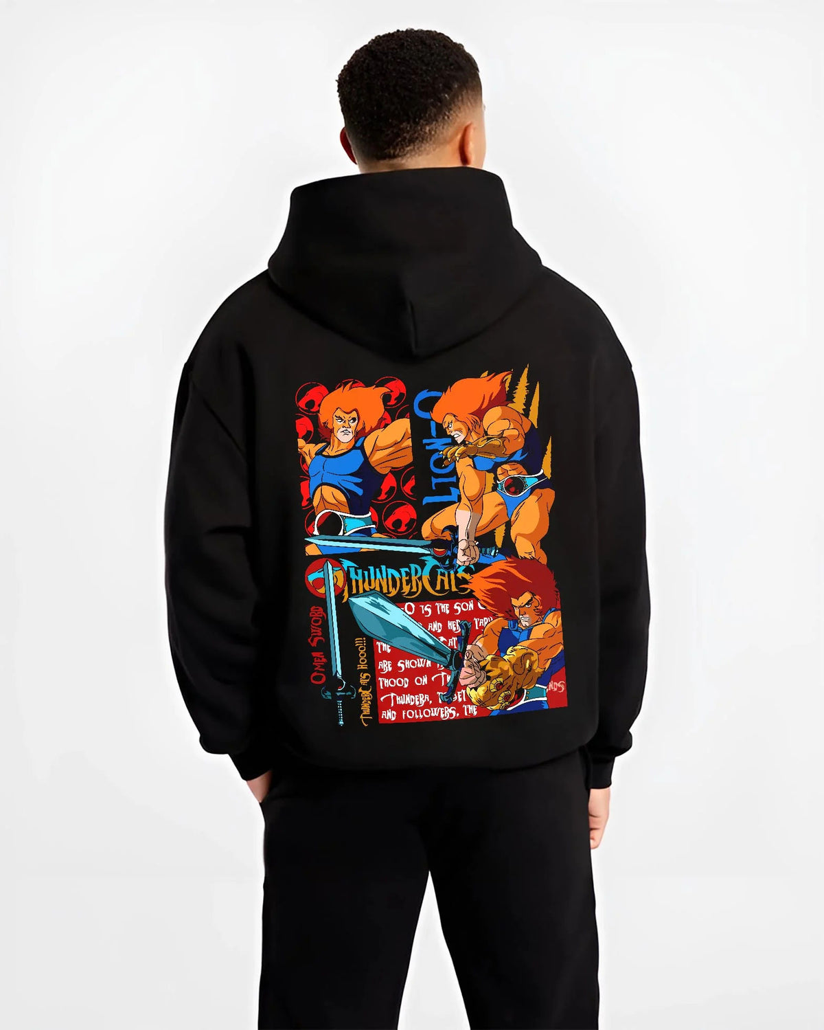 Black hoodie worn by male model from the back featuring Lion-O Sword of Omens team ThunderCats artwork.
