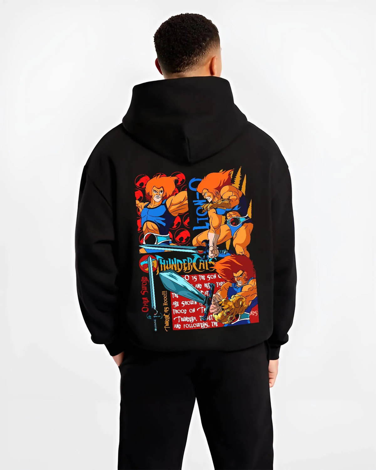 Black hoodie worn by male model from the back featuring Lion-O Sword of Omens team ThunderCats artwork.
